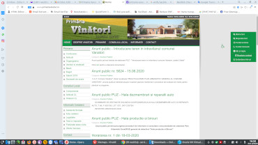  Primaria Vanatori Galati - analiza a unui web site de primarie